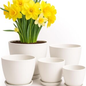 Utopia Home – Plant Pots Indoor with Drainage – 7/6.6/6/5.3/4.8 Inches Garden Flower Pots for Indoor Planter – 5 Pack White Plastic Planters – Ideal for Stocking Stuffers or Room, Office Home Decor